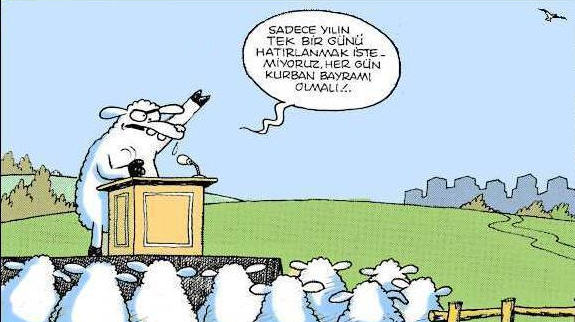 Resim