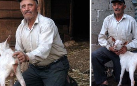 çift cinsiyetli oğlak