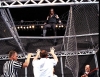 hell in a cell / #288444