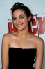 willa holland