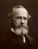 william james / #274902