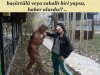 başörtülülere yapılan anlamsız hakaretler / #317854