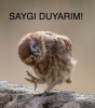 hocaefendiye hakaret eden karşısında beni bulur / #283871