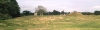 sutton hoo höyüğü / #272577