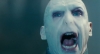 lord voldemort / #294876