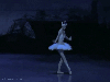 balerin