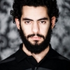 alaa wardi