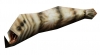 leech / #283618