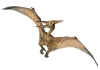 pterosaur / #284329