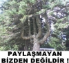 facebook ta paylaşmayan x değildir söylemi / #282754