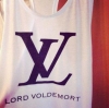 lord voldemort