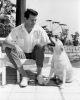 rock hudson / #511714