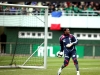 steve mandanda / #365155