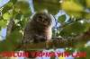 uyuyan kişinin ağzına giren siyah eldiven / #483809