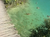 plitvice lakes / #451999