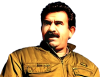 öcalan ın heykelini dikeceğiz diyen milletvekili / #347753