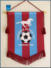 chesham united fc