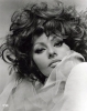 sophia loren / #509229