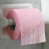tuvalet kağıdı