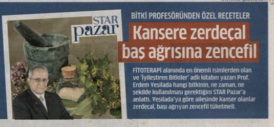 zerdeçal
