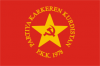 tkp ve bdp neden birleşmiyor sorunsalı / #393391