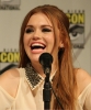 holland roden