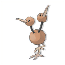 doduo