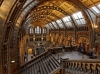 natural history museum / #377273