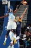 sylvia fowles / #498617