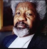 akinwande oluwole soyinka / #397155