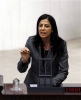bdp li kadın vekillerin istisnasız çirkin olması / #374358