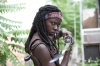 michonne / #511140