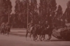 20 mayıs 1963 ayaklanması / #367338
