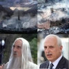 vali mutlu / #466239