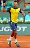 jo wilfried tsonga