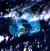midway adasi / #439278