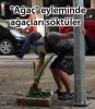 28 mayıs 2013 taksim gezi parkı işgali / #455471