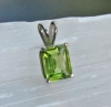 peridot / #516854