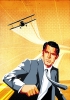 north by northwest / #424949