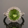 peridot / #516823