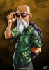 muten roshi