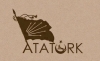bozkurtlu chp afişi / #498267