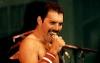 freddie mercury nin red kit in atına benzemesi