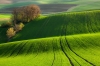 moravia