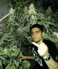 nick diaz