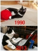 1990 daki kedi vs 2013 teki kedi / #493752