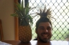 yanlış ananas / #503927