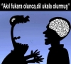 akıl fukara olunca fikir ukala olurmuş / #478388