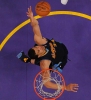 javale mcgee