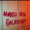 ananızı siksin galatasaray / #497965